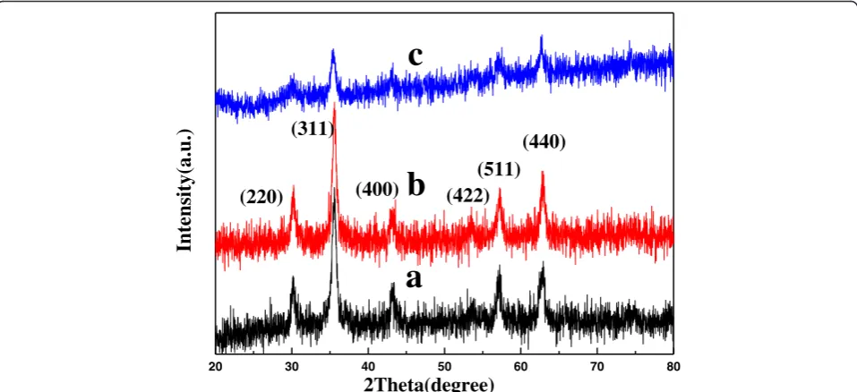 Fig. 3 SEM image. a Fe3O4. b Fe3O4@CM-HP-β-CDCP.β