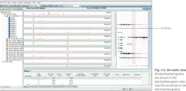 Fig . 4 .5 . All-wells view .  All electropherograms  are shown in the  electropherogram view