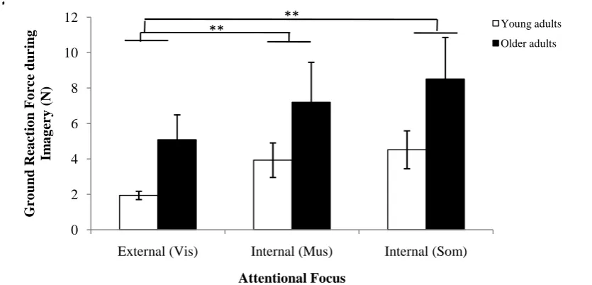 Figure 3-11: Effect of attentional focus on the ground reaction force of young and older 