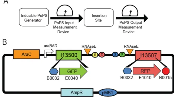 Figure 2-1  Schematic of the PoPS Input/ Output characterization and screening  plasmid (pSB1A10) 