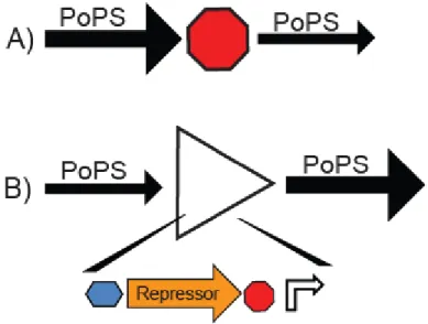 Figure 2-2  Examples of PoPS Input / Output devices 