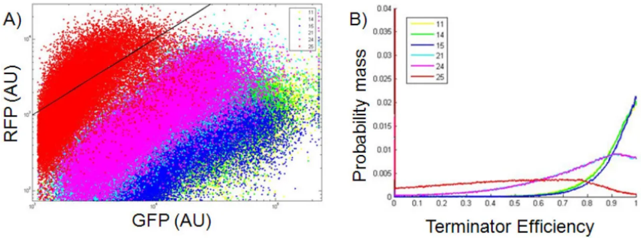 Figure 2-5  Characterization of the termination efficiency of six BioBrick terminators  (A) Dot plot of the flow cytometer measurements of GFP and RFP fluorescence from each  cell in the population