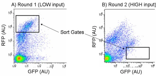 Figure 2-8  Two rounds of screening on a FACS machine of an inverter library  generated via mutatgenic PCR of the non-functional inverter, BBa_Q04400