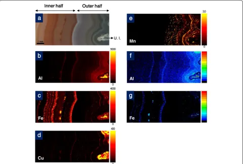 Fig. 5 The optical image, quantitative maps, and qualitative X-ray maps of the colorful agate sample