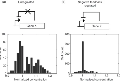 FIGURE 20.2 (a) An unregulated circuit as compared with (b) an autoregulated circuit by negative feedback results in a narrower distribution of gene expression as compared with an unregulated circuit with no feedback.