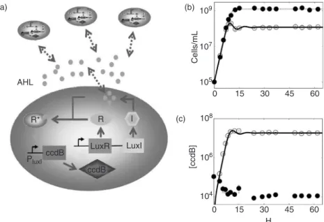 FIGURE 20.3 A population control circuit that detects the size of a population and activates a cell killing gene when the cell density is too high (a) Acyl-homoserine lactone (AHL) is produced by LuxI (I) and freely diffuses through the cell