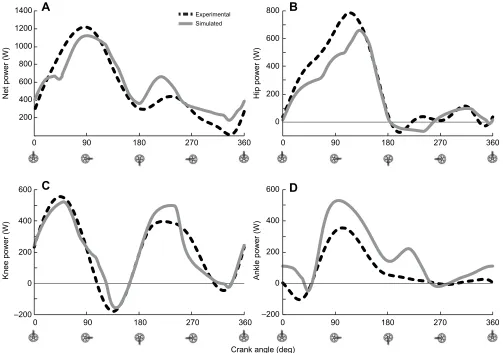 Fig. 8. Correlation of electromyography (EMG) data reported by Dorel andcolleagues with the simulated muscle activation and deactivation dataof muscle activity are shown separately
