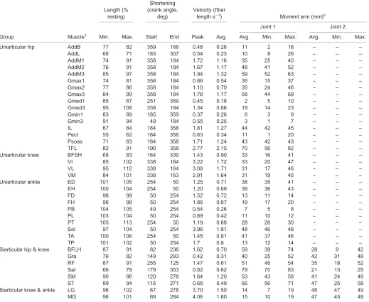 Table 1. Muscle simulation input parameters for uniarticular and biarticular muscles