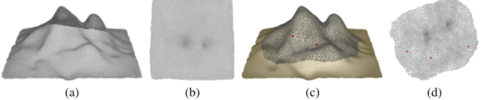 Fig. 4 (a) The triangular mesh of a terrain surface. (b) The triangular mesh of the terrain surface is conformally mapped to plane