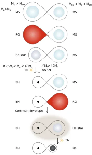 Figure 1.4: Evolution of two main sequence stars of diﬀering initial masses:and 8star evolves oﬀ the main sequence ﬁrst ﬁlling its Roche lobe