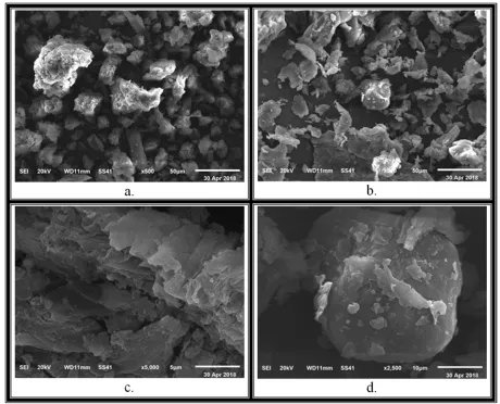 Figure 4. SEM micrograph of SZC (a,b) and SZC-AC (c,d). 
