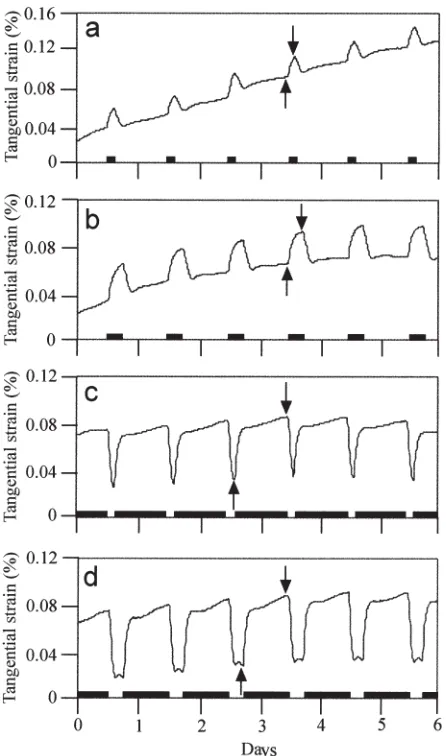 Fig. 1a–d. Changes in tangential strain on the inner bark surface ofsaplings grown in the growth chambers