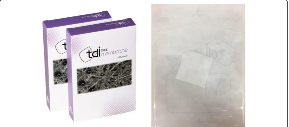 Fig. 1 Commercialized silk mat used for this study