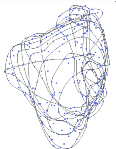 Fig. 1 Calculation of the sinus body by interpolating 15–25 curves at adistance of 2 mm, depending upon the size of the maxillary cavity