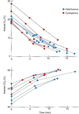 Fig. 1. Arterial oxygen and carbon dioxide content in hooded and greyseals during forced dives