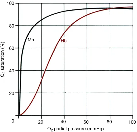 Fig. 5. Arterial oxygen, carbon dioxide and lactatecontent in a grey seal before, during and after an18 min dive