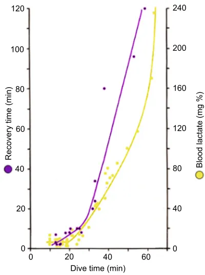 Fig. 9. Voluntary diving in Weddell seals. Peak arterial lactateconcentrations upon emergence from dives of various durations (yellow), andthe recovery time required at the surface after dives of various durations (blue).Redrawn from Kooyman et al