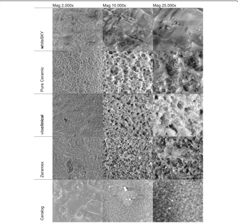 Fig. 2 SEM. White arrow (→) exemplary mark the droplet like shape of surface as described in the text