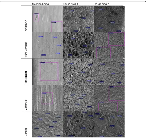 Fig. 3 SEM for localization of EDX analysis