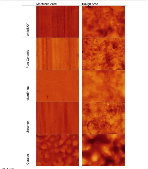 Fig. 4 CLSM