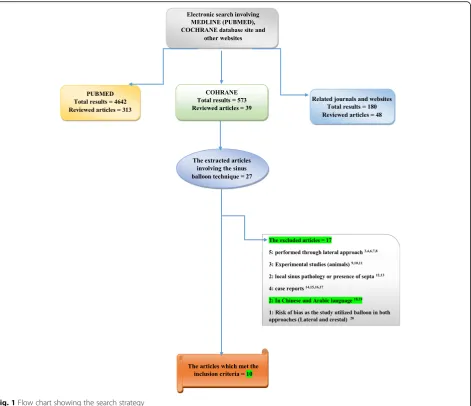 Fig. 1 Flow chart showing the search strategy