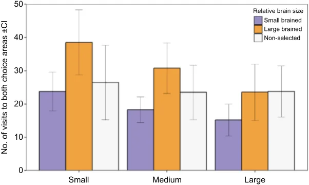 Fig. 2. Number of visits to choice areas duringdichotomous choice preference tests. Mean (±CI) numberof visits of large-brained, small-brained and non-selected maleguppies when presented with dyads of females that had small(1.6 mm, 6.25%), medium (3.4 mm, 