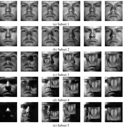 Figure 2.8: Sample images from the Extended Yale B database with randomly locatedocclusions: a) Subset 1, b) Subset 2