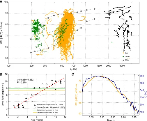 Fig. 2. Fundamental frequency ( fdiamonds and dashed lines represent normative voice range profile (VRP) data from human children aged 7length measurements for pre-pubertal children (Hirano et al., 1983), with superimposed vocal fold length measurements fr