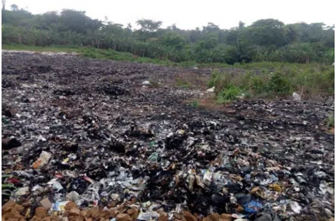 Figure 1. A picture showing the Tonkere refuse dumpsite. 