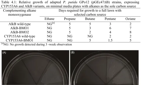 Table 4.1: Relative growth of adapted P. putida GPo12 (pGEc47B) strains, expressing CYP153A6 and AlkB variants, on minimal media plates with alkanes as the sole carbon source 