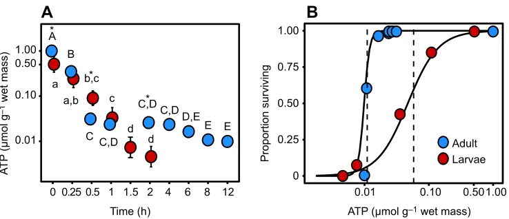 Fig. 2. Whole-body ATP levels throughout anoxia for D. melanogasterpoint (Tukeylevels of ATP than larvae