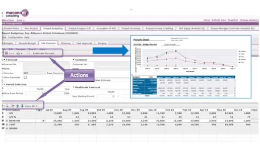 Figure 2.2: Example workspace in Maconomy: project progress reporting to compare with actual budget