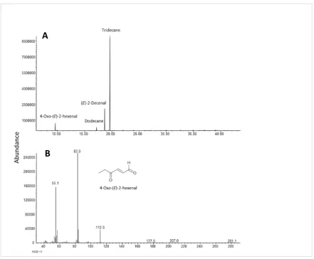 Figure 2.2 A) GC-MS total ion chromatogram of aeration extract in DCM collected from a group of 