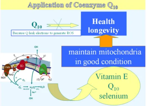 Figure 3. the cocktail of Q10 suggested in clinical use. 