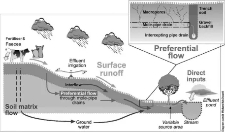 Figure 5: Conceptual diagram of potential sources and processes that transport 