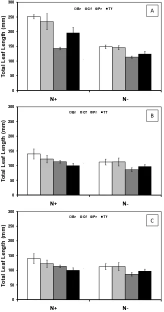 Figure 4-2: Total leaf thickness in response to nitrogen (N) treatments of four pasture 