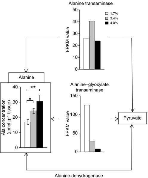 Fig. 6. Genes and metabolites related to alanine metabolism. Open, greyand black bars indicate the concentration of alanine or the FPKM values of thegenes related to alanine metabolism in kuruma shrimp acclimated for 24 h at1.7%, 3.4% and 4.0% salinities, respectively.