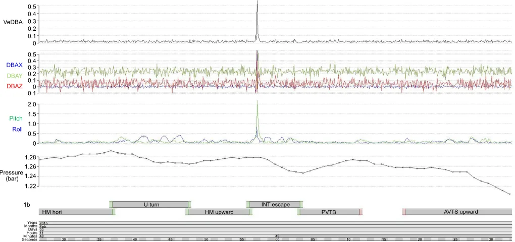 Fig. 2. Accelerometer and pressure data from the tag attached to the green turtle. Vectorial dynamic body acceleration (VeDBA) and dynamic bodyacceleration (DBA) variables in the x-, y- and z-direction (DBAX, DBAY and DBAZ; g) were extracted from the raw a
