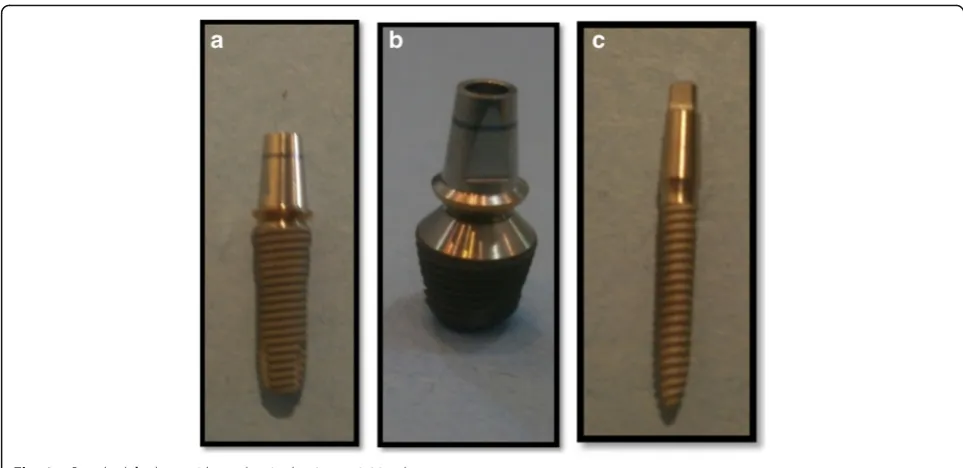 Fig. 2 Metal crown supported on two mini implants