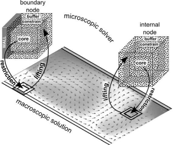 Fig. 2. Schematic representation of the macro-to-micro (lifting) and micro-to-macro (restriction) exchange of information for a boundary node and an internal node.