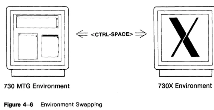 Figure 4-6 Environment Swapping 
