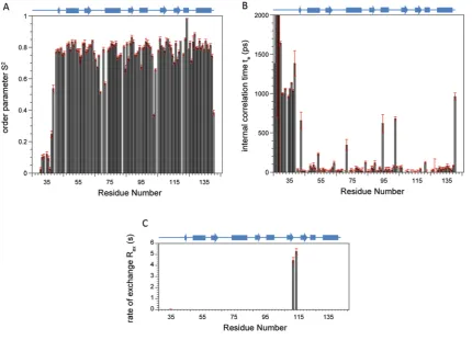 Figure S1ModelFree analysis of 15N-NMR relaxation data of the ERp27 b domain