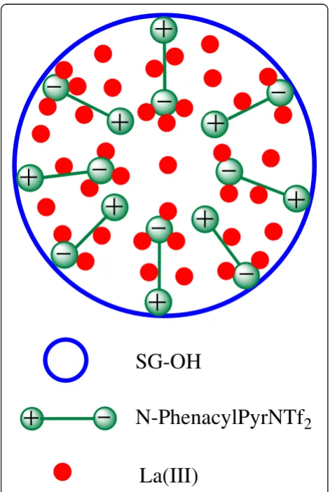 Figure 4 Interaction mechanism between SG-N-PhenacylPyrNTf2and La(III).