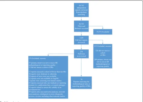 Fig. 1 Flow of study reports
