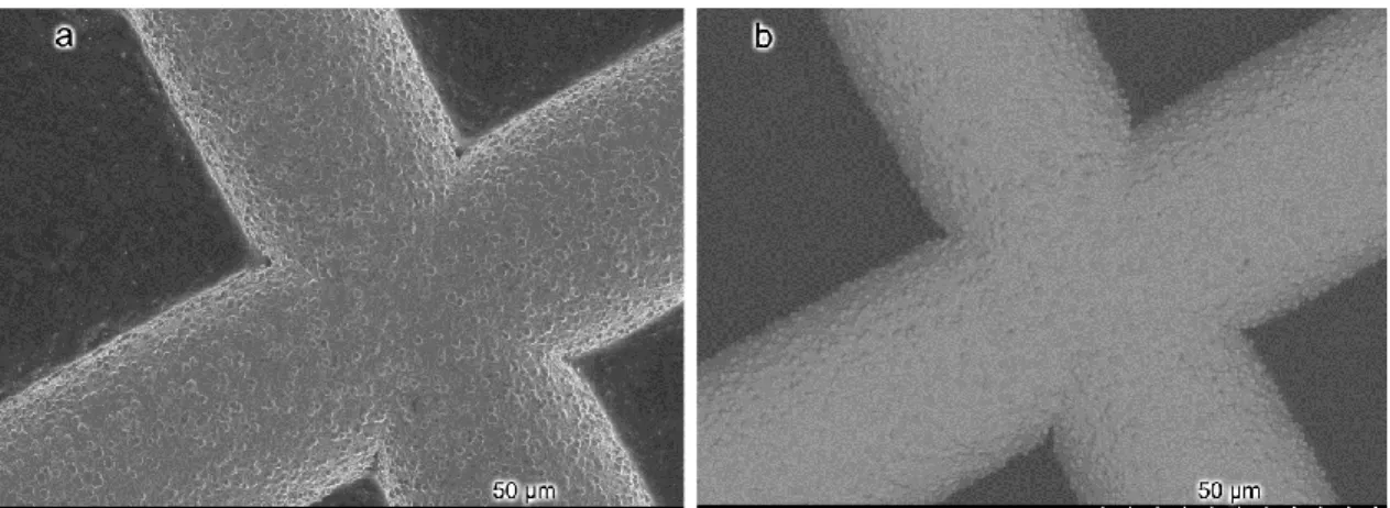 Fig 3. Secondary electron (SE) and Backscatter (BSE) micrographs of a copper TEM grid