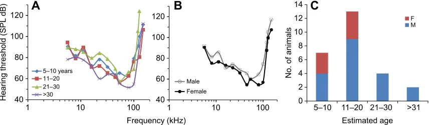 Fig. 2. Example auditory evoked potential waveforms of a beluga whale.The animal (ID: DlBB16-02) was recorded on 13 May 2016 and was therecorded without sound stimuli