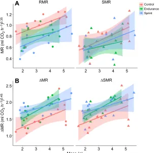 Fig. 1. Influence of performance training on metabolicrate in green anole lizards.(A) RMR (left) is higher than SMR (right) and control lizardsexhibited higher MRs (of both types) than either sprint-trained or endurance-trained lizards