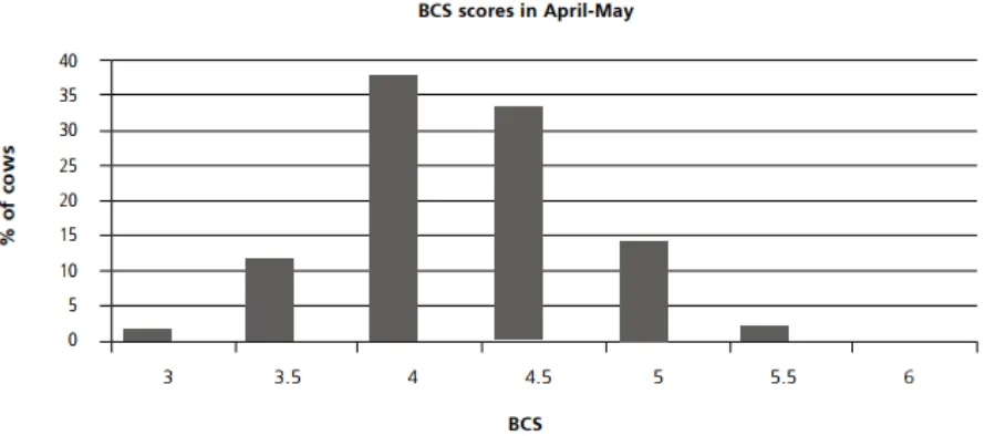 Figure 2: Graph representing the BCS range for 300 herds 90 days before calving, assessed by accredited BCS advisors (Peel & DairyNZ, 2014)  