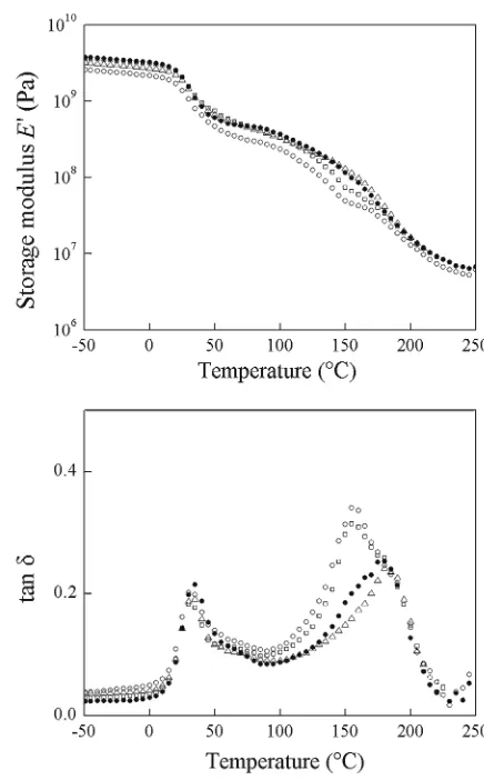 Fig. 3. DMA plots of API for different treatment temperatures with duration of 2 h. Upper, storage modulus E′; lower, loss factor tan d; open circles, not heated (4 days, same sample as in Fig