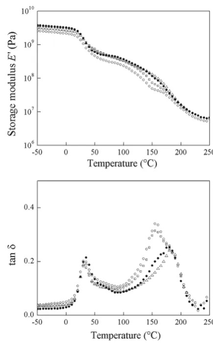 Fig. 3. DMA plots of API for different treatment temperatures with duration of 2 h. Upper, storage modulus E′; lower, loss factor tan d; open circles, not heated (4 days, same sample as in Fig